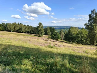 Großalmeröder Heide1_kl