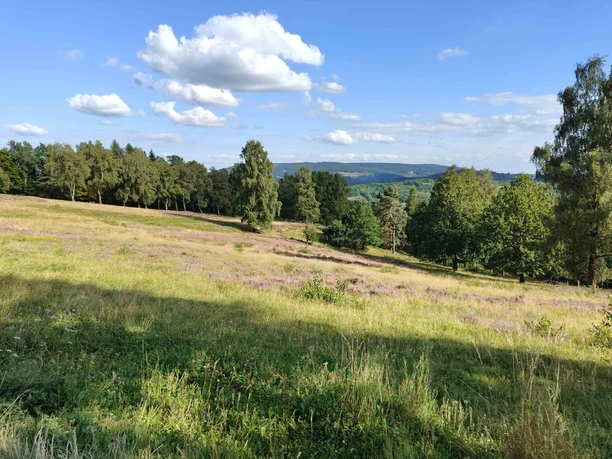 Großalmeröder Heide1_kl