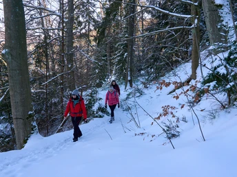 Auf dem Weg zum Arnstein im Winter