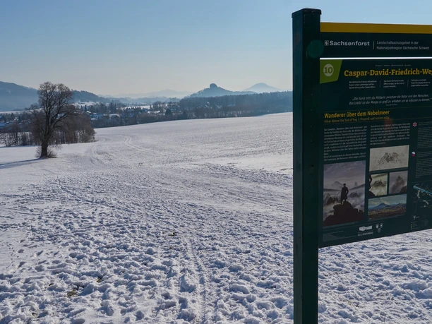 Am Wolfsberg Schöna im Winter