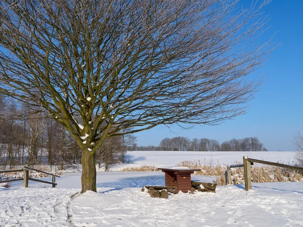 Am Wolfsberg Schöna im Winter