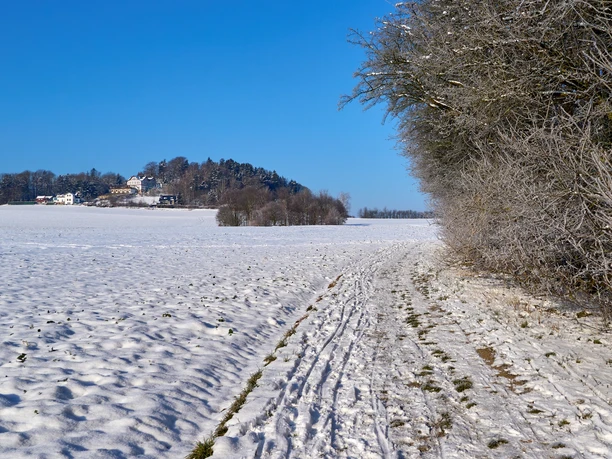 Am Wolfsberg Schöna im Winter