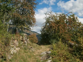 Themenweg Kastanienselve Salzgäb