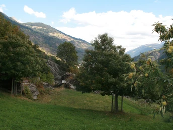 Themenweg Kastanienselve Salzgäb