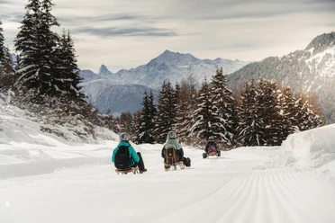 Schlittelweg Gopplerlücke - Riederalp