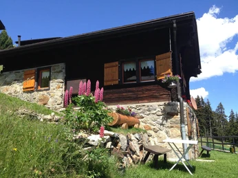 Aussenansicht Sommer