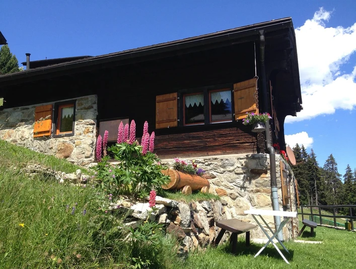 Aussenansicht Sommer