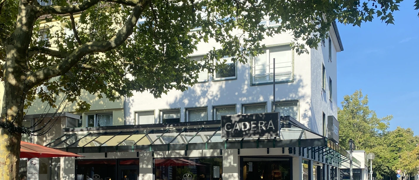 Cadera am Kunstmuseum.JPG