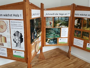 Schulwanderausstellung Holz.jpg