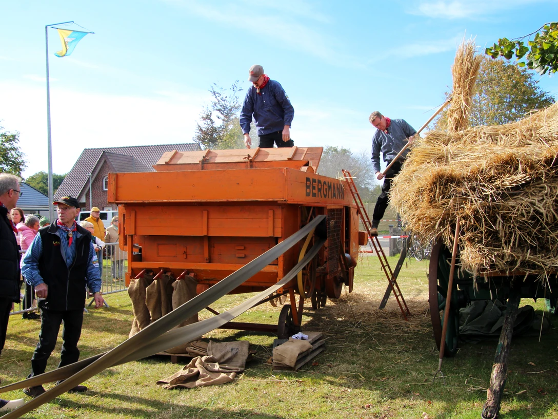 Bild2_Dreschvorgang_HeimatvereinAltenberge.jpg