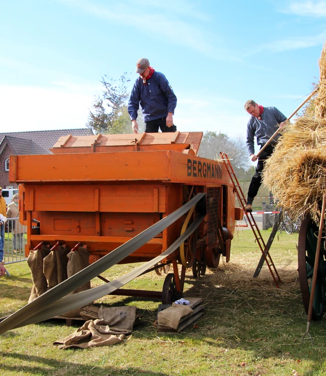 Bild2_Dreschvorgang_HeimatvereinAltenberge.jpg