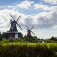 Greetsieler Zwillingsmühlen Zwei historische Windmühlen in Greetsiel, umgeben von Wiesen, Bäumen und weitem Himmel.