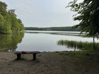 Blick auf den Lütauer See.jpeg Blick auf den Lütauer See