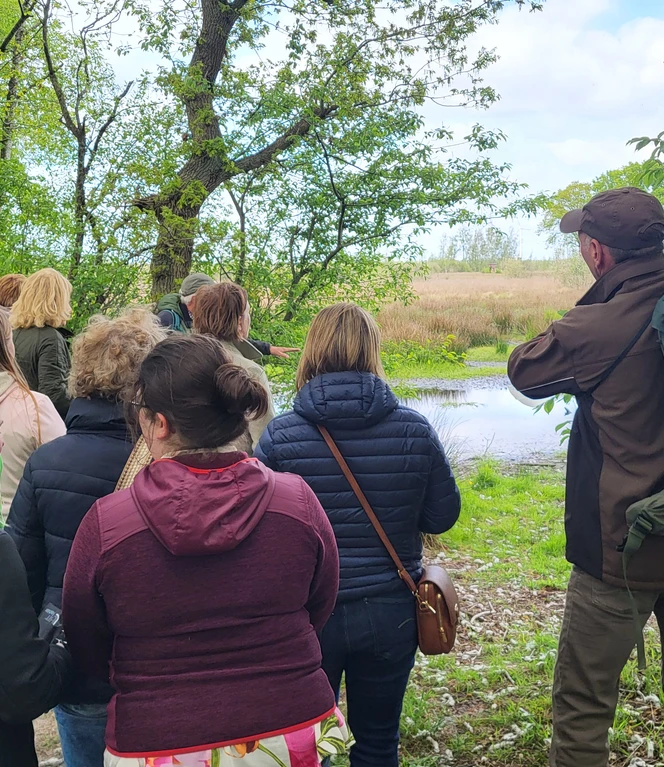 Lehrerfortbildung am Theikenmeer_Naturpark Schule Bernhardschule ©Naturpark Hümmling Gruppe von Lehrkräften bei einer Fortbildung im Grünen am Ufer eines Teichs im Naturpark Hümmling
