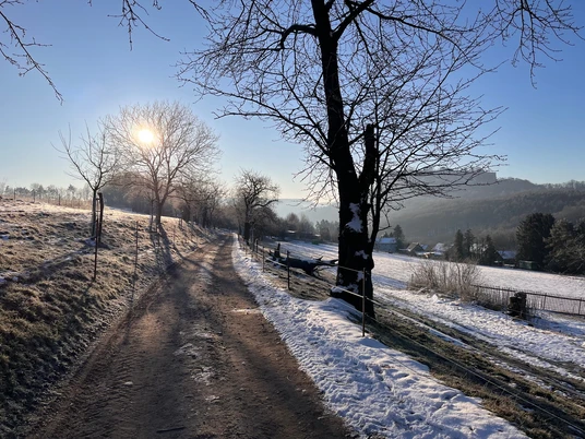 Weg zur Malerweg-Kapelle