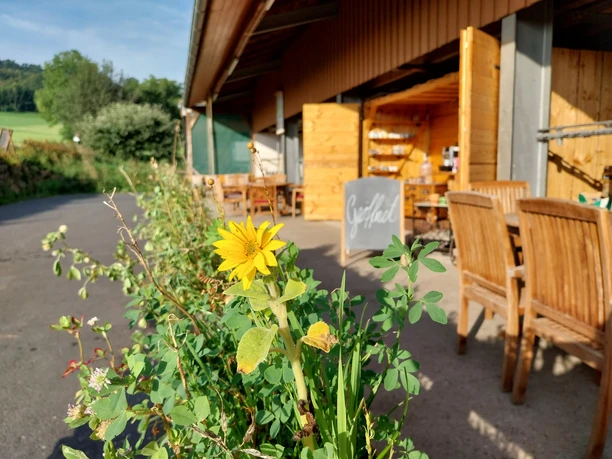 Hof-Café