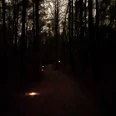 Lichtergang Abenteuerabend_Markus Koch.jpg Dunkler Waldweg mit einzelnen Bodenlichtern, die den Pfad dezent markieren.