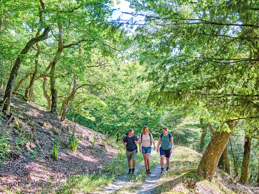 Naturpark RheinTaunus