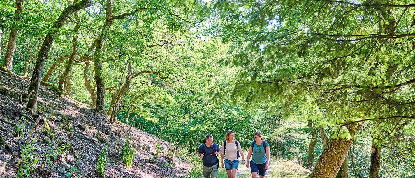 Naturpark RheinTaunus