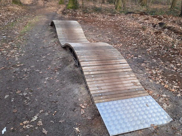 Bikepark Haselünne Holzbrücke mit Wellenprofil auf einer Mountainbike-Strecke im Wald des Bikeparks Haselünne