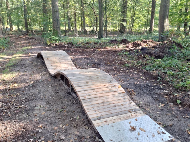 Bikepark Haselünne Holzrampe mit Wellenform in einem bewaldeten Bereich, Teil einer Mountainbike-Strecke.