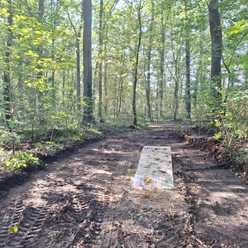 Bikepark Haselünne Waldweg mit Erde und Holzrampe im Sonnenlicht, umgeben von hohen Bäumen und dichtem Grün.