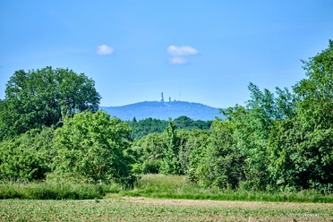 Naturpark Taunus