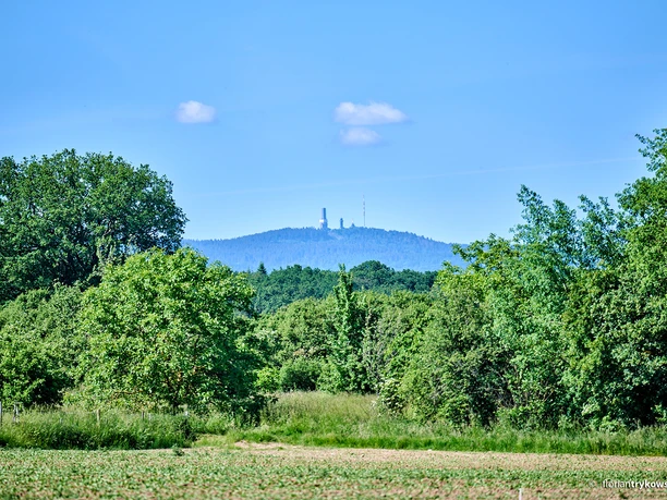 Naturpark Taunus