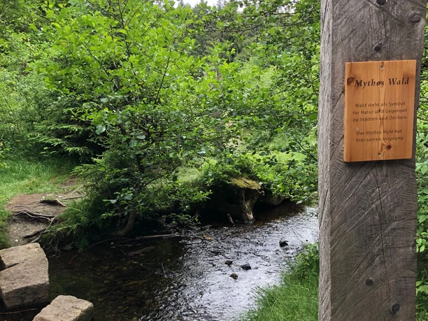braunlage-naturmythenpfad-fluss(c)btmg.jpg