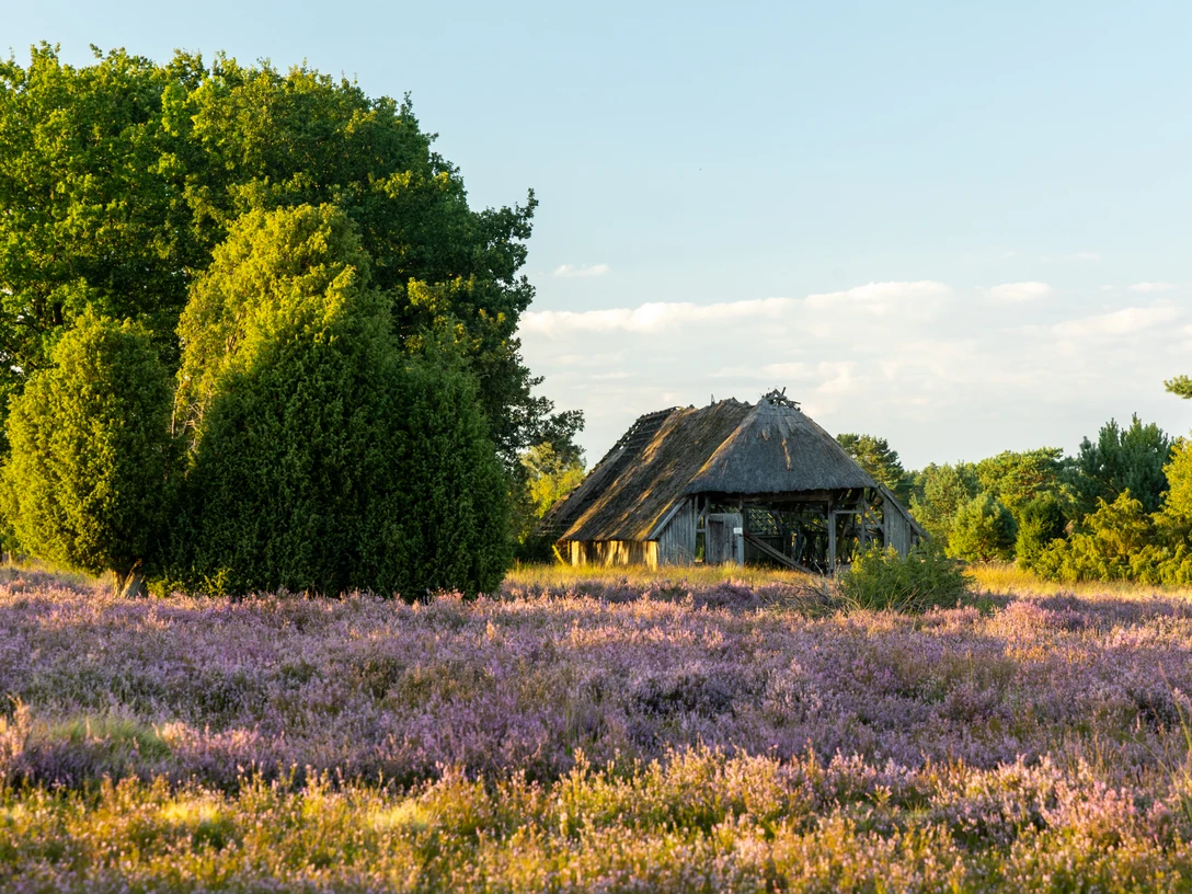 Radenbachtal Undeloh