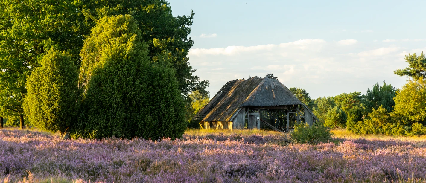 Radenbachtal Undeloh