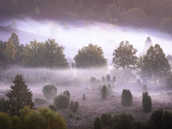 Totengrund im Herbst