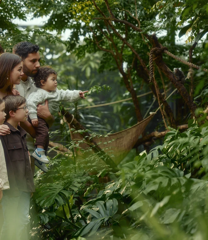 Erlebnispark Emsflower – Familie im Tropengarten ©Emsflower GmbH.jpg
