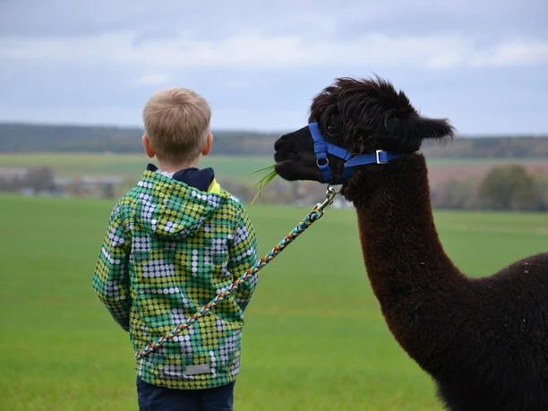 Auf Tuchfühlung mit den flauschigen Vierbeinern