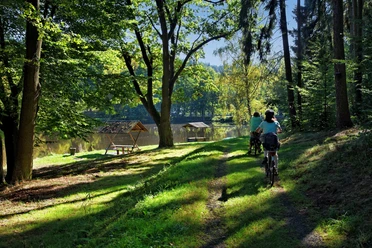 Schlosspark Leubnitz