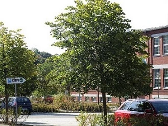 Parkplatz am KISPI Grünbach
