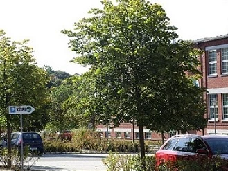 Parkplatz am KISPI Grünbach