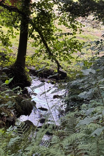 Eindrücke des Oberen Muhrbachpfads
