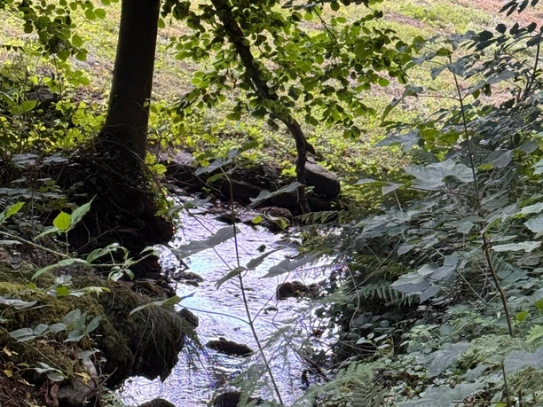 Eindrücke des Oberen Muhrbachpfads