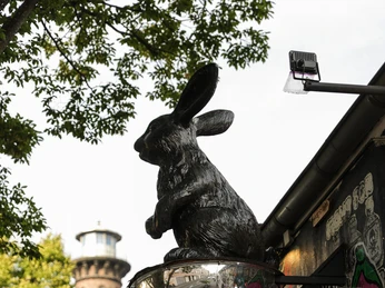 Der schwarze Hase Ein schwarzes Hasen-Skulptur thront vor bunten Graffiti, mit einem hölzernen Turm im Hintergrund.A black rabbit sculpture sits enthroned in front of colorful graffiti, with a wooden tower in the background.
