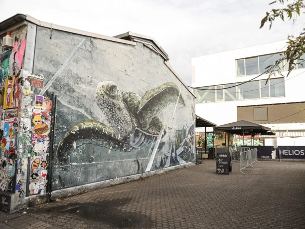 Helios37 Ein großflächiges Wandgemälde einer Schildkröte schmückt eine Außenwand in einem urbanen Hinterhof.