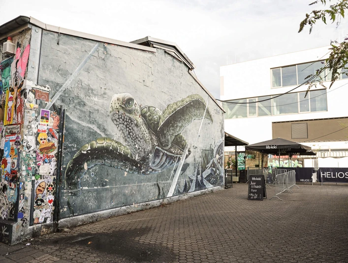 Helios37 Ein großflächiges Wandgemälde einer Schildkröte schmückt eine Außenwand in einem urbanen Hinterhof.A large-scale mural of a turtle adorns an exterior wall in an urban backyard.