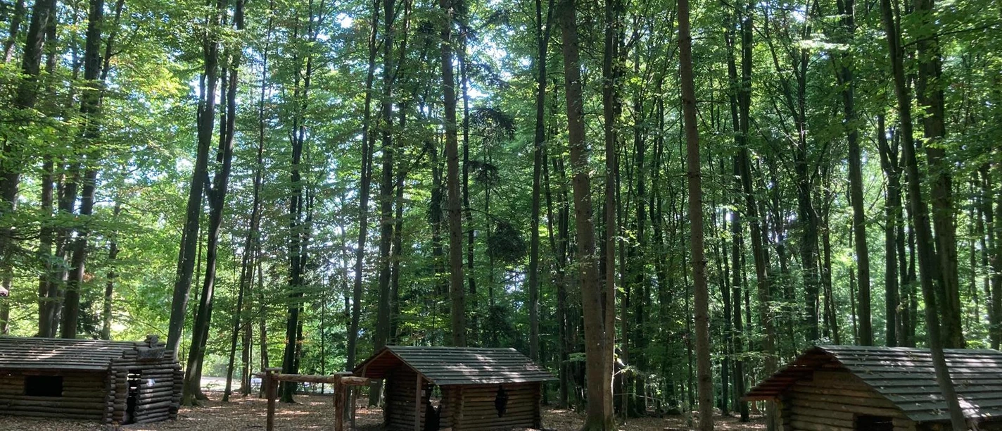 Hüttendorf 3 Andrea_Bonauer.jpg Mehrere Blockhütten stehen zwischen hohen Laubbäumen auf einer lichtdurchfluteten Waldlichtung