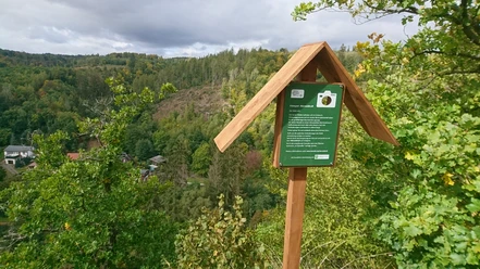 Fotospot Verlobungsurne Holzbeschilderung mit Blick auf einen bewaldeten Hang. Bäume und Wolken am Horizont.