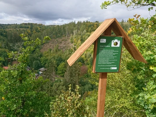 Fotospot Verlobungsurne Holzbeschilderung mit Blick auf einen bewaldeten Hang. Bäume und Wolken am Horizont.