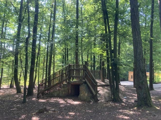 Fuchsbau im Dreieck Andrea_Bonauer.jpg Holzsteg mit Treppe über einem kleinen Erdgang in einem lichten Waldstück