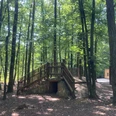 Fuchsbau im Dreieck Andrea_Bonauer.jpg Holzsteg mit Treppe über einem kleinen Erdgang in einem lichten Waldstück