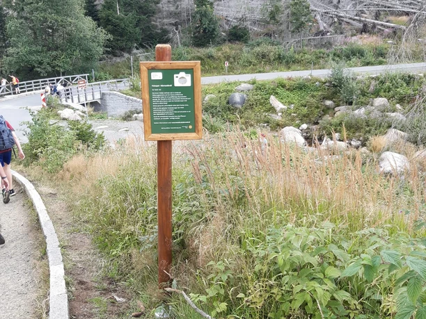 Fotospot Schluftwasserkurve Brockenstraße