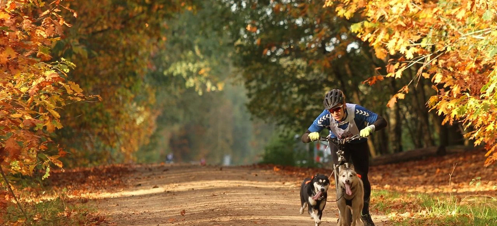 Schlittenhunderennen