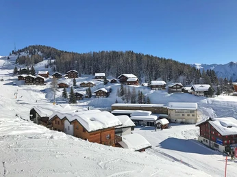 Ausblick auf Moosfluh